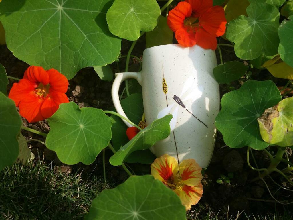 Mingtang Garden Cottage 名堂花园度假屋 Pokhara Esterno foto