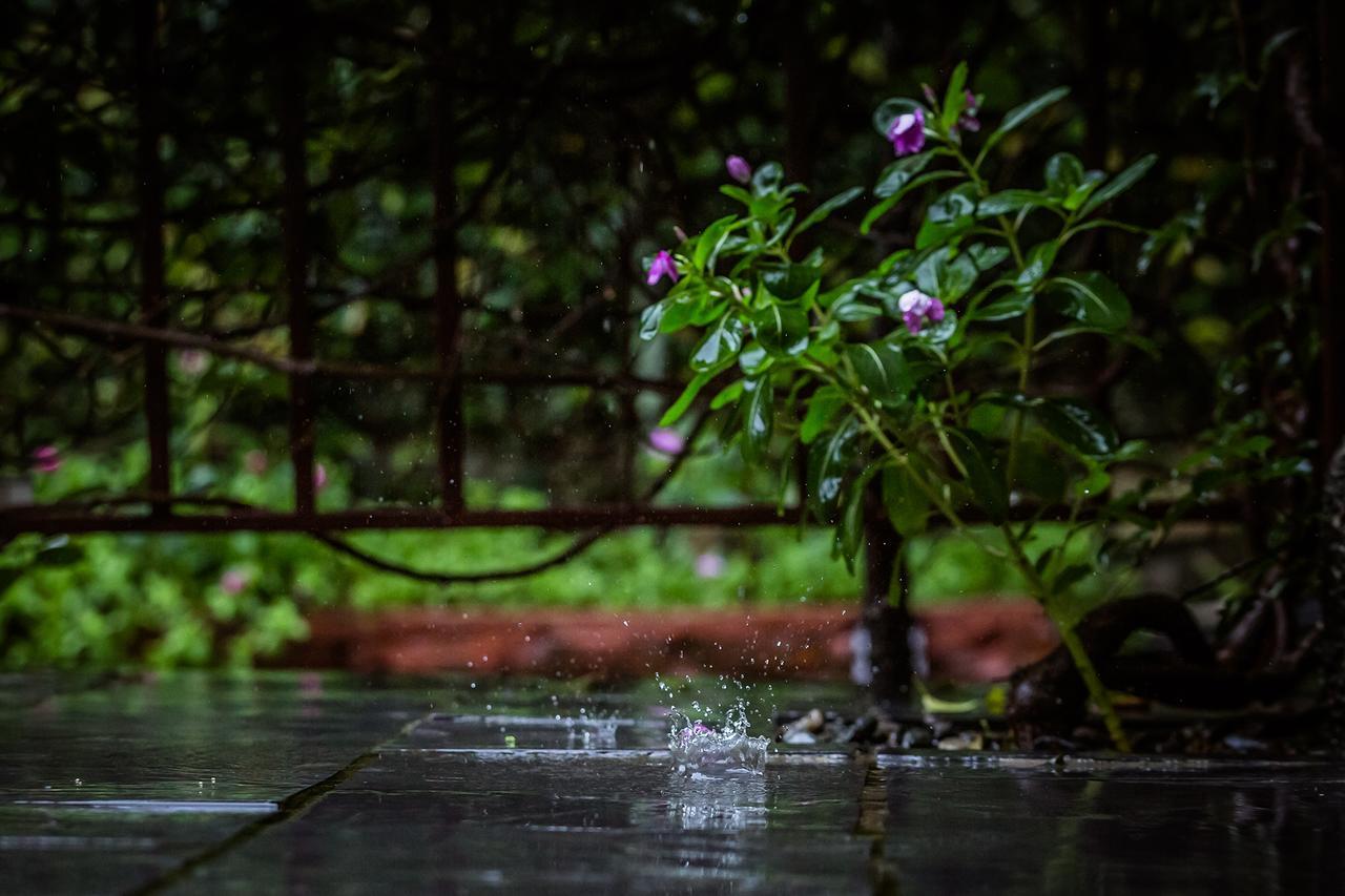 Mingtang Garden Cottage 名堂花园度假屋 Pokhara Esterno foto