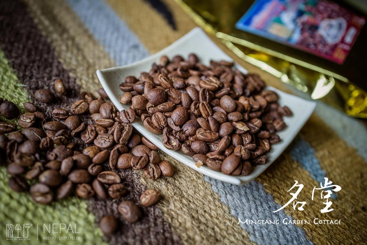 Mingtang Garden Cottage 名堂花园度假屋 Pokhara Esterno foto